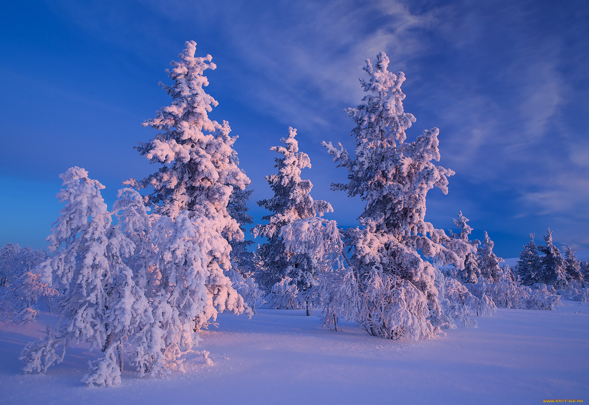 , , finland, lapland, , , , 